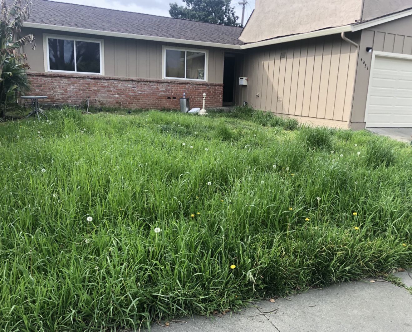 Before: Unfinished landscape - RoanBuilt transformation