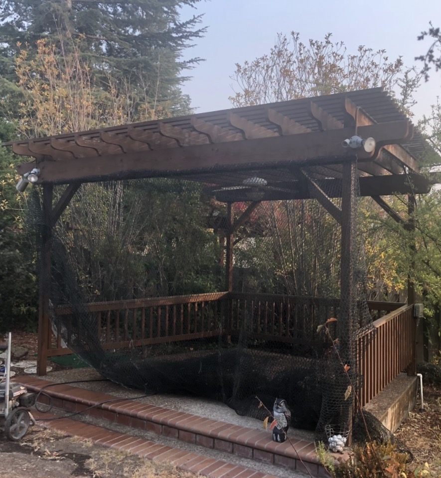 Before: Basic outdoor space - RoanBuilt transformation